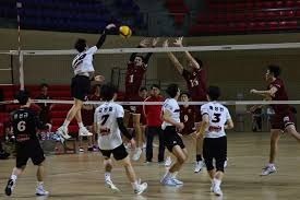 伦敦奥运马术冠军与爱驹双双安乐死，二十余年相伴征服世界赛场